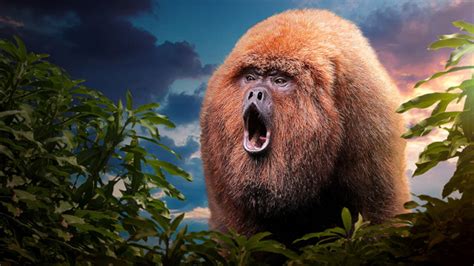 72 Dangerous Animals: Latin America - Only on Streaming