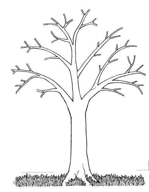 Cute Tree Drawing Easy Clip Art Library