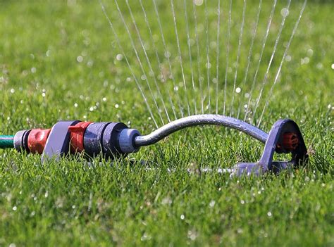 Maybe you would like to learn more about one of these? Watering New Sod - Green Prairie Turf