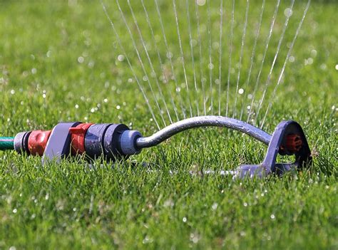 Ideally, water your new sod twice a day, preferably in the morning and evening. Watering New Sod - Green Prairie Turf