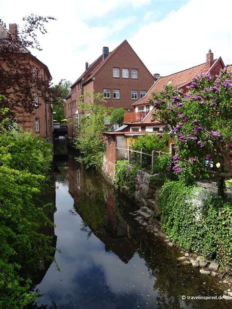 Wohnen mit netten mitmietern in gepflegter wohnanlage. Bad Oldesloe Tipps: Wandern, Paddeln & Wasserbüffel ...