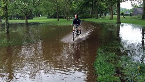 Badeendenrace In Stadspark Gaat Door