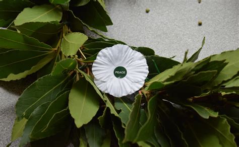 Maybe you would like to learn more about one of these? Remembrance & White Poppies | Peace Pledge Union