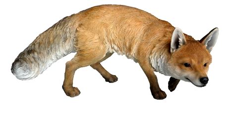 Prowling Fox Yardzooks