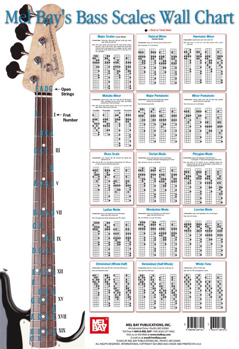 Bass Scales Wall Chart  File Bass Guitar Scales Bass Guitar Notes