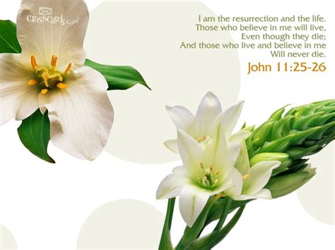 Maybe you would like to learn more about one of these? John 11:25-26 - Bible Verses and Scripture Wallpaper for ...