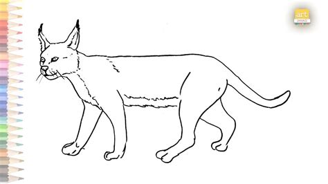 Caracal Drawing Easy 02 How To Draw Very Simply Caracal Drawing Step