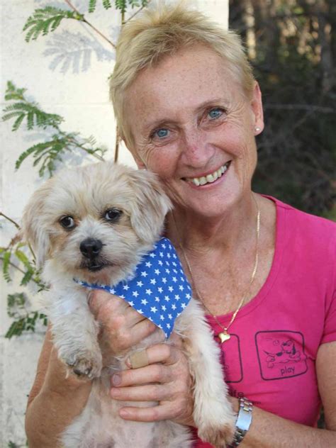 Monikas Doggie Rescue Rehoming Pet Adoption Dogs Of Oz Herald Sun
