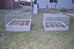 Hardware cloth lining to keep gophers and moles out: Shorewood Illinois Square Foot Garden - My Square Foot Garden