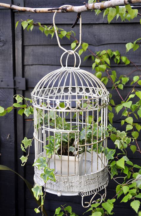 bird cage planters  fun  eye catching decor   garden page
