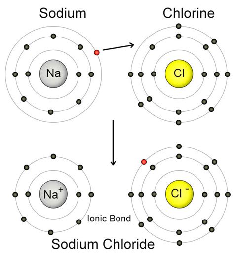 Is Table Salt A Molecule Or Compound Cabinets Matttroy