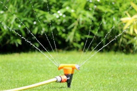 Vor 7 monaten ein unternehmen das mit viel fleiß und disziplin arbeitet. Richtig gießen und Garten genießen | ZUHAUSE.net
