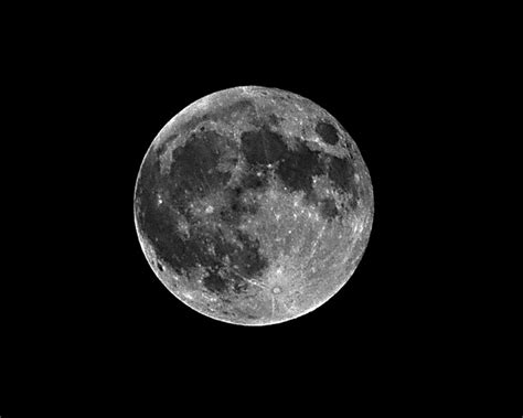 The moon tonight is gonna be amazing. photo