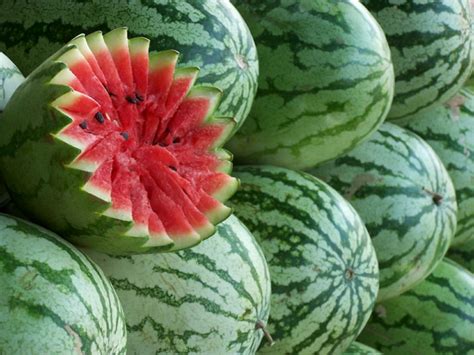 wassermelone die sommerfrucht der götter freshideen