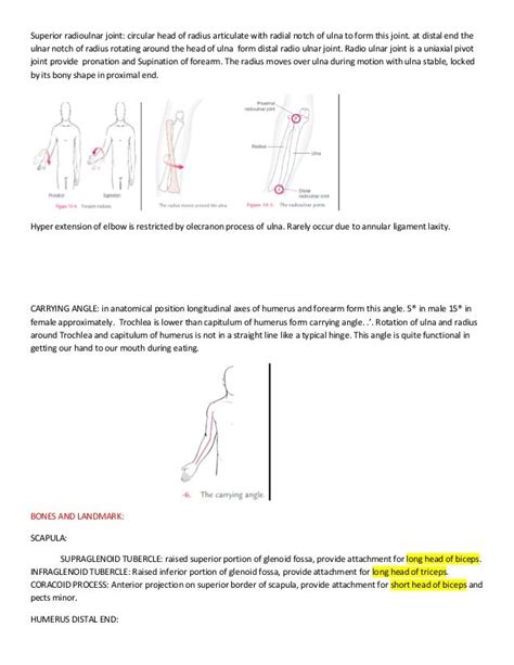 Introduction Of Kinesiology And Upper Limb Anatomy