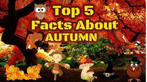Top 5 Facts About Autumnfall Youtube