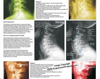 Dermatomes Myotomes And DTR Poster X Chiropractic Etsy 3456 The Best
