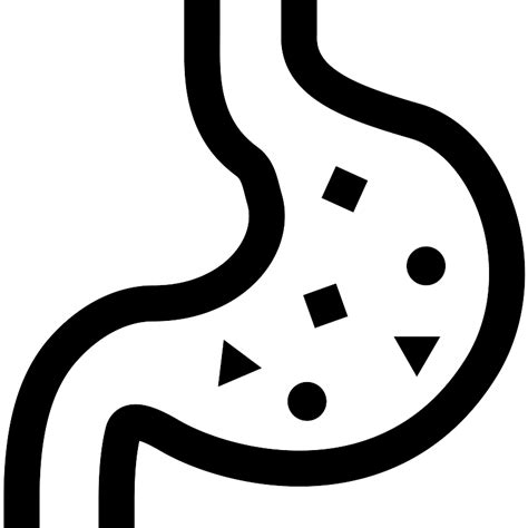 Stomach Svg Vectors And Icons Svg Repo
