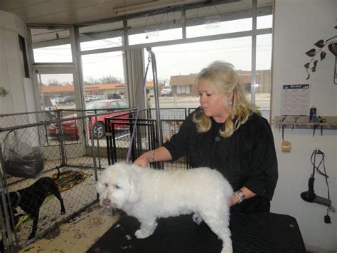Karens Pet Grooming Attributes Success To Its Clients Support