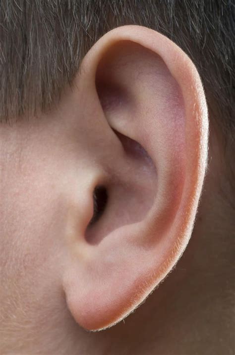 Top 11 Doctor Insights On What Does It Mean When The Inside Of My Ear