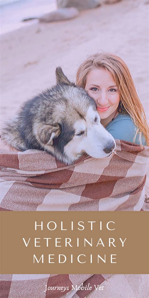 Maybe you would like to learn more about one of these? Holistic Veterinary Medicine in 2020 | Holistic pet care ...