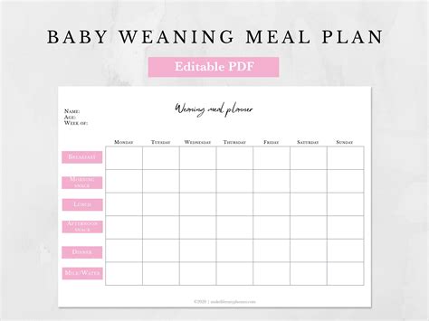 Baby Weaning Meal Plan Editable Template A4 And A5 Digital Etsy Uk
