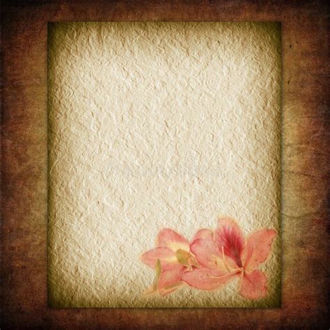 10 Textural Flower Old Paper Free Stock Photos Stockfreeimages