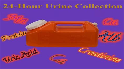24 Hour Urine Collection Youtube