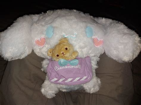 Look At My New Cinnamoroll Plushie
