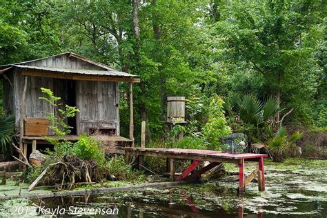Check out these louisiana cabin rentals at our louisiana state parks or rent a houseboat on the bayou. Typical Swamp Cabin | Louisiana swamp, Cabin, House styles