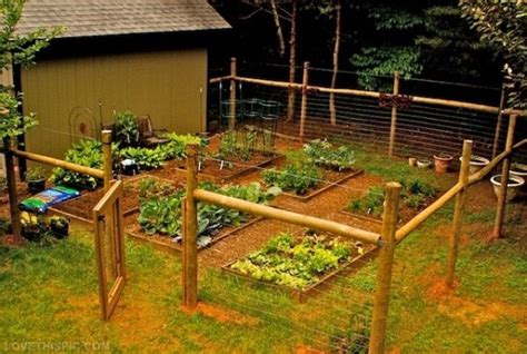 27 Cheap Diy Fence Ideas For Your Garden Privacy Or Perimeter