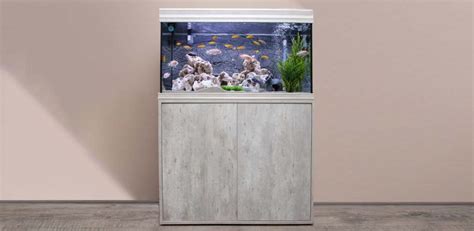 The Best 40 Gallon Aquarium Stand For 2023 Breeder And Long