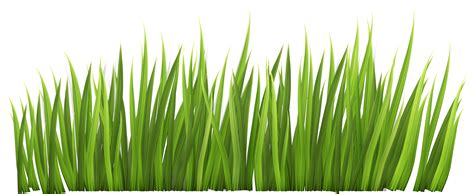 Grass Clip Art Free Free Clipart Images 2