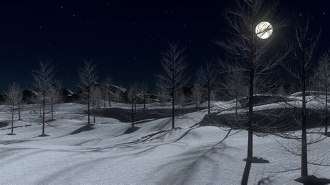 Snow Night Moon · Free Photo On Pixabay
