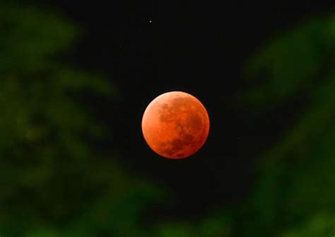 Nasa picks spacex to build lander for next mission to the moon. Super blue blood-moon phenomenon back after 152 years ...