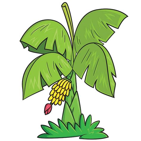 Dibujo De Un Banano Dibujo De Plátanos Pintado Por Color En Dibujos