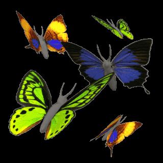 Background taman kupu kupu untuk video pembelajaran #background #animasi . Nah, inilah koleksi Gambar Cantik Kupu kupu Terbang yang ...