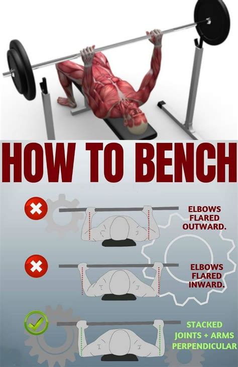 Technique For A Big Chest How To Bench Press GymGuider