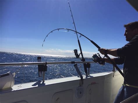 1 Fishing Charter Cronulla 65hrs From 225pp Book Online