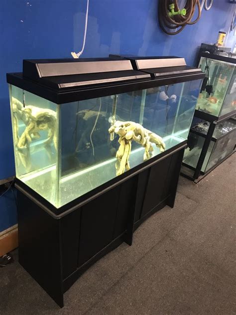 55 Gallon Aquarium Fish Tank Complete Set Up 300 For Sale In