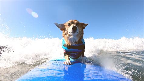 Elizabeth olsen as wanda maximoff in wandavision episode 7disney/marvel studios. The Killing Joke ya tiene fecha de estreno y portada ...