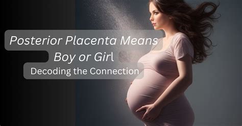 Posterior Placenta Means Boy Or Girl Decoding The Connection