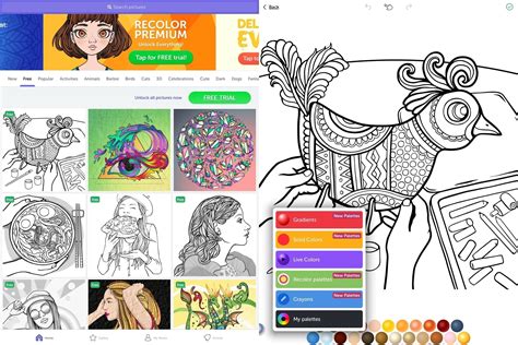The Best Adult Coloring Book Apps For Iphone And Ipad Mid Atlantic