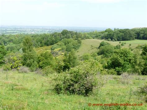 Pulpit Hill Fort Walk In The Chilterns Returns Along Part Of The