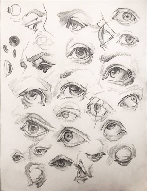 Eyes Studies By Anavitil Dibujos De Ojos Arte De Anatomía Humana
