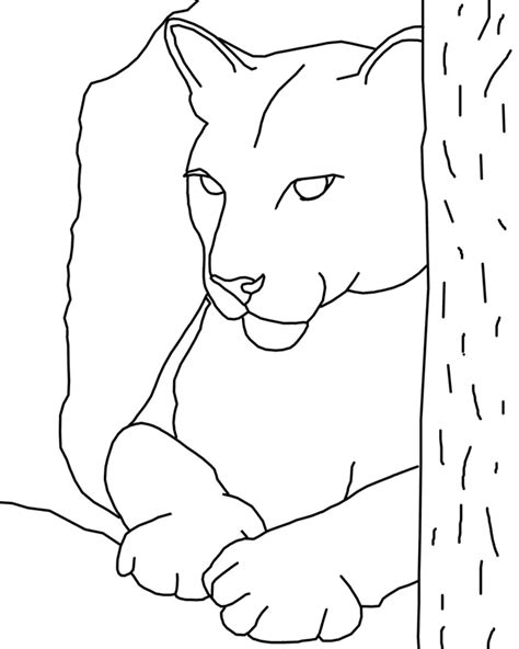 Cougar Coloring Pages And Books 100 Free And Printable