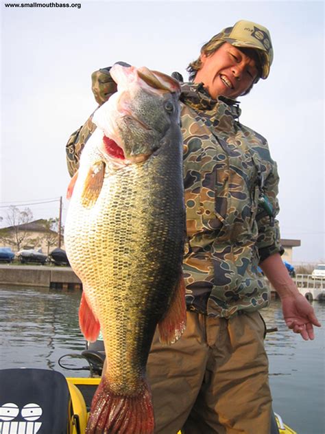Tied World Record Largemouth Bass From Japan