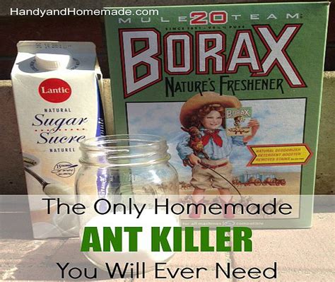 To get rid of them, you need a good ant killer, trap, or repellent. DIY Ant Killer | 5 Ant Killer Recipes You Can Make at Home DIY Ready