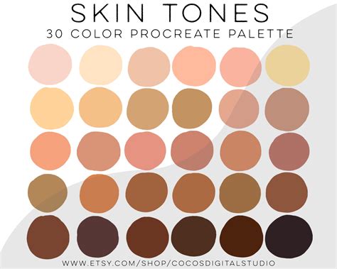 Skin Tones Color Palette Swatches Procreate Skin Tone Chart Colours For Drawing Skin