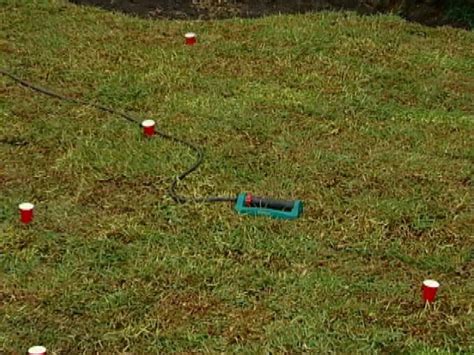 Different cups may have varying amounts of water though. The Right Way to Water and Feed a Lawn | DIY